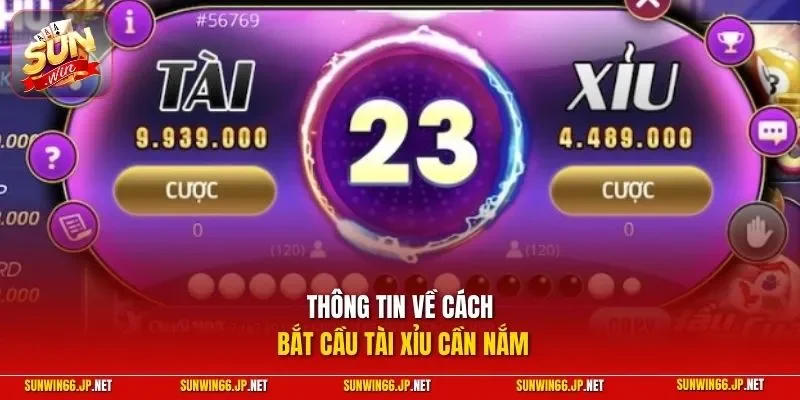Cách Bắt Cầu Tài Xỉu Chuẩn Xác – Thực Hiện Từ Chuyên Gia 10 Sunwin Thông tin về cách bắt cầu tài xỉu cần nắm
